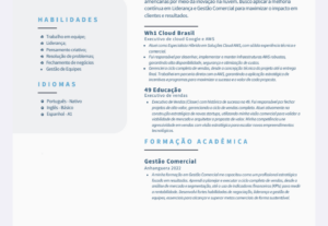 Eu vou Fazer seu currículo profissional