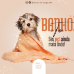 Eu vou transformar suas idéias em artes visuais impactantes.