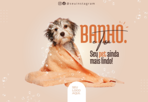 Eu vou transformar suas idéias em artes visuais impactantes.