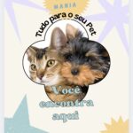 Eu vou traduzir o seu texto e fazer criações de textos