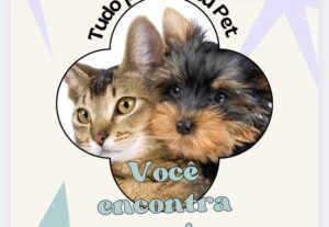 Eu vou traduzir o seu texto e fazer criações de textos