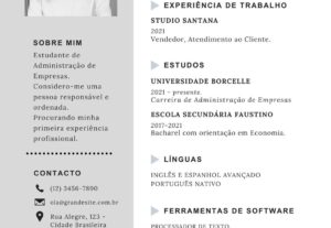 Eu vou fazer seu currículo profissional rapidinho