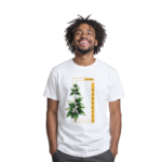 Eu vou criar Design para estampas exclusivas para sua marca.