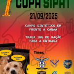 Eu vou transformar a sua ideia na arte ideal.