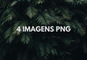 Eu vou tranformar sua jpeg em png.