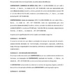 Eu vou digitar e revisar textos profissionais.