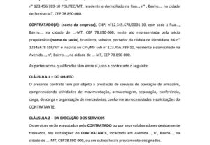 Eu vou digitar e revisar textos profissionais.