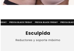Eu vou Fazer sua loja de dropshiping profissional
