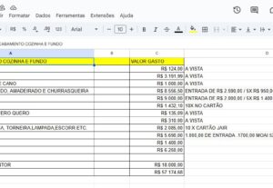 Eu vou faze digitação, planilhas e serviços contábeis