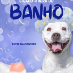 Eu vou criar posts lindos para o seu instagram.