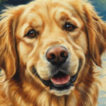 Eu vou Transformar as  suas ideias em imagens únicas