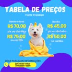 Eu vou fazer projetos,convites,slides e posts