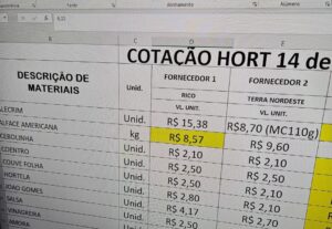 Eu vou fazer Sua planilha para compras