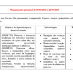 Eu vou Fazer o melhor plano de aula pra você
