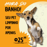 Eu vou fazer 1 Arte para o seu feed, stories ou status