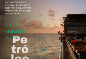 Eu vou trabalhar na criação de slides e posts de imagens.