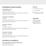 Eu vou fazer seu currículo em PDF.