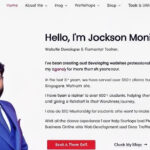 Eu vou Construir seu site profissional em WordPress.