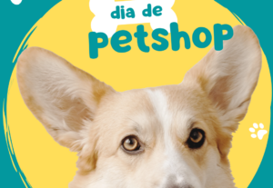 Eu vou criar um video ou uma imagem para sua empresa