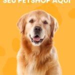 Eu vou criar um video ou uma imagem para sua empresa