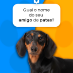 Eu vou fazer um criativo para suas redes sociais