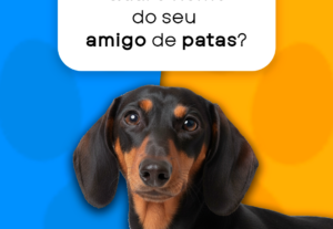 Eu vou fazer um criativo para suas redes sociais