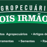 Eu vou vetorizar, redesenhar ou criar sua logo/produto