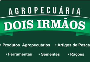 Eu vou vetorizar, redesenhar ou criar sua logo/produto