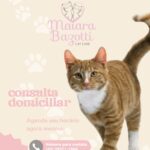 Eu vou gerar criativos de alta conversão para você.