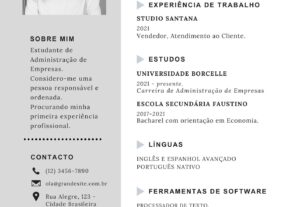 Eu vou fazer seu curriculo perfeitamente