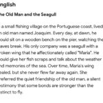 Eu vou traduzir,escrever texto,pra inglês,francês, espanhol.