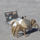 Foto do perfil do trabalhador freelancer