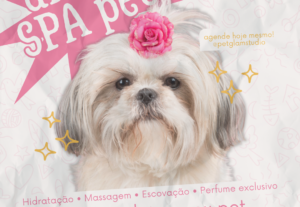 Eu vou fazer artes rápidas e bonitas pro seu negócio