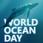 Eu vou criar Artes Exclusivas para sua Marca