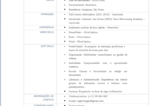 Eu vou turbinar o seu currículo