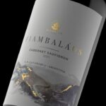 Eu vou criar ou melhorar sua logotipo em até 48h