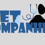 Eu vou Fazer um design para o Instagram de sua empresa