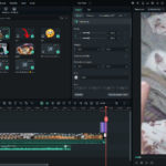 Eu vou editar o seu vídeo da maneira que você quiser