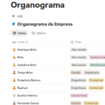 Eu vou estruturar seus processos e analisar seus dados