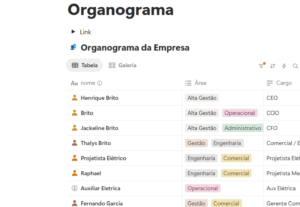 Eu vou estruturar seus processos e analisar seus dados