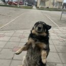 Foto do perfil do trabalhador freelancer