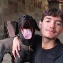 Foto do perfil do trabalhador freelancer