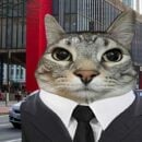 Foto do perfil do trabalhador freelancer