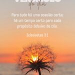 Eu vou fazer  Traduções do português para o inglês