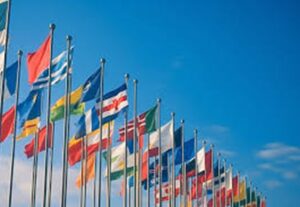 Eu vou fazer  Tradução de texto em português para o inglês.