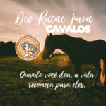 Eu vou criar seu conteúdo digital. Banner e flyer.