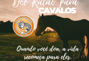 Eu vou criar seu conteúdo digital. Banner e flyer.