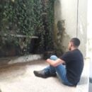 Foto do perfil do trabalhador freelancer