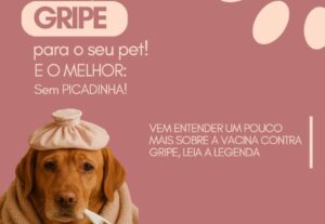 Eu vou fazer os melhores posts para a sua rede social