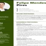 Eu vou Fazer seu currículo profissional ATS